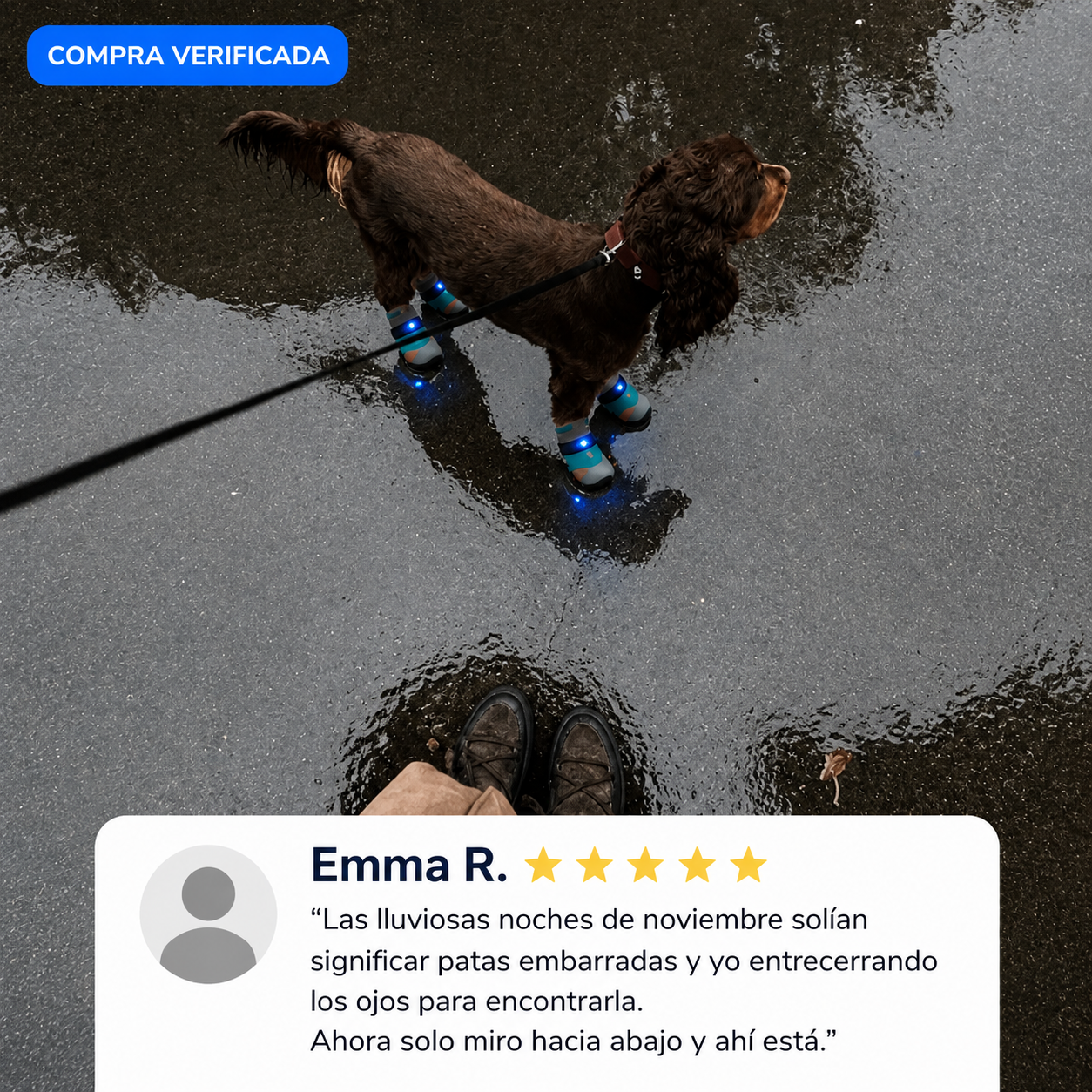 Zapatos LED Para Perros