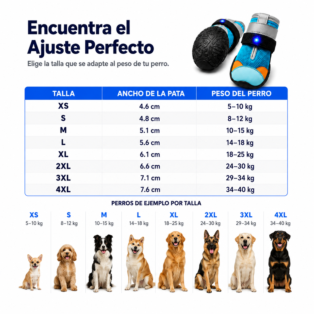 Zapatos LED Para Perros