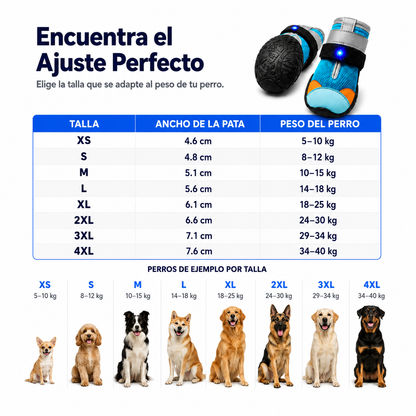 Zapatos LED Para Perros